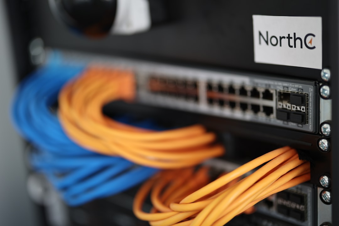 Deploying Local LLMs Using Ollama and Docker for Private Business Data