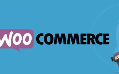 Si te perdorni WooCommerce?